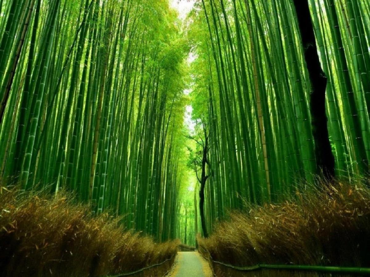 櫛笥ノ家 Machiya Kushige 度假居 *