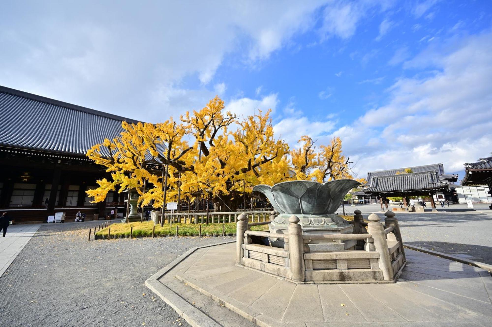 櫛笥ノ家 Machiya Kushige 京都